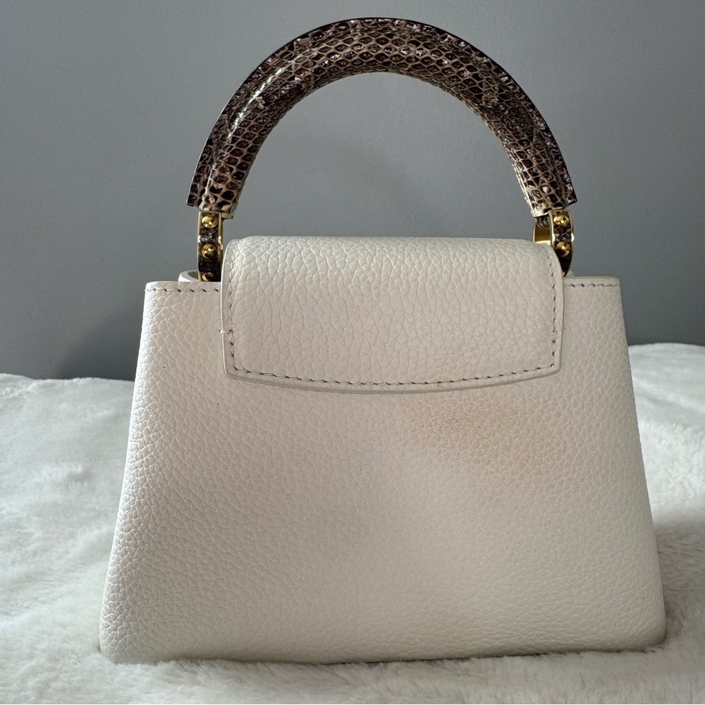 Louis Vuitton Taurillon & Python Leather Capucines Mini Handbag - Picture 5 of 16